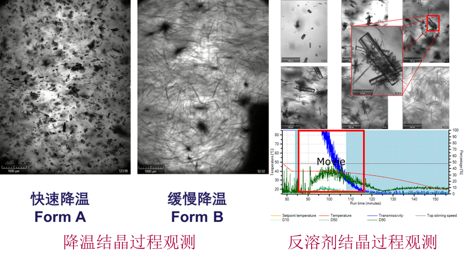 Technobis Crystalline在線晶粒觀測模塊以監(jiān)控結(jié)晶過程